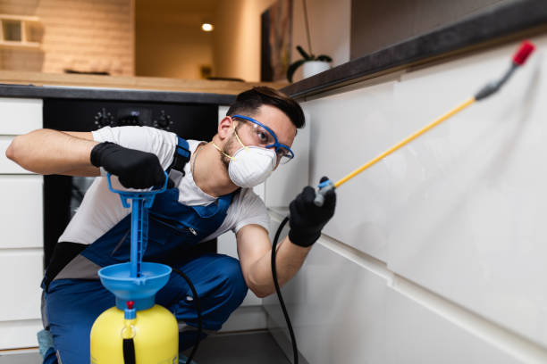 Best Best Pest Control Companies  in Pomona Park, FL