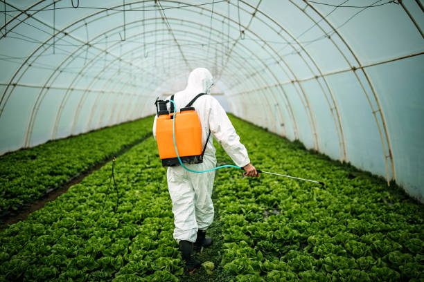 Best Affordable Pest Control Services  in Pomona Park, FL