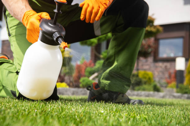 Best Bird Control  in Pomona Park, FL