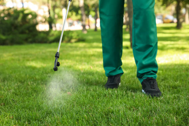 Best Cockroach Control Services  in Pomona Park, FL