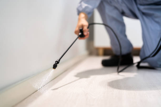 Best Termite Control Services  in Pomona Park, FL