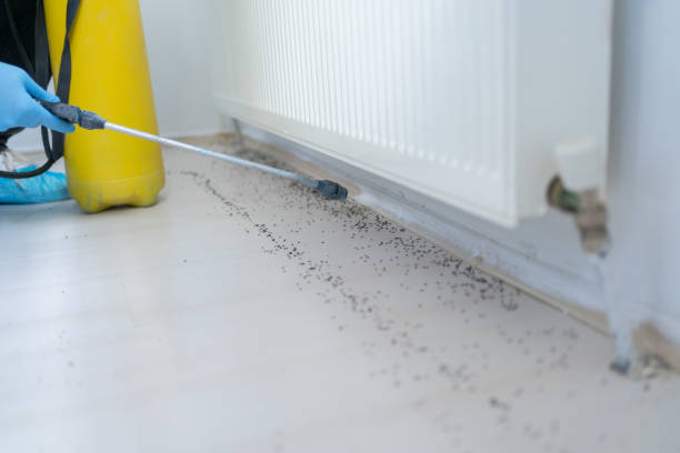 Best Pest Control Near Me  in Pomona Park, FL