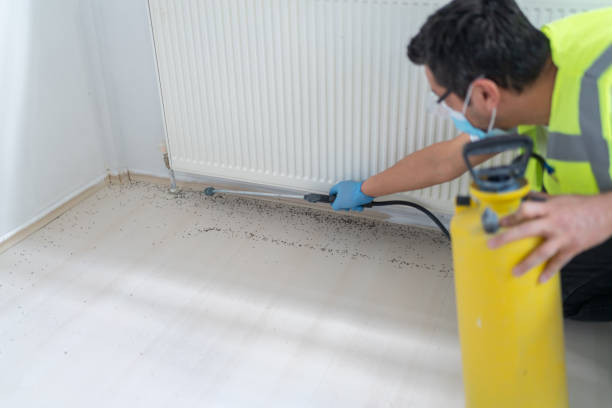 Best Emergency Pest Control  in Pomona Park, FL