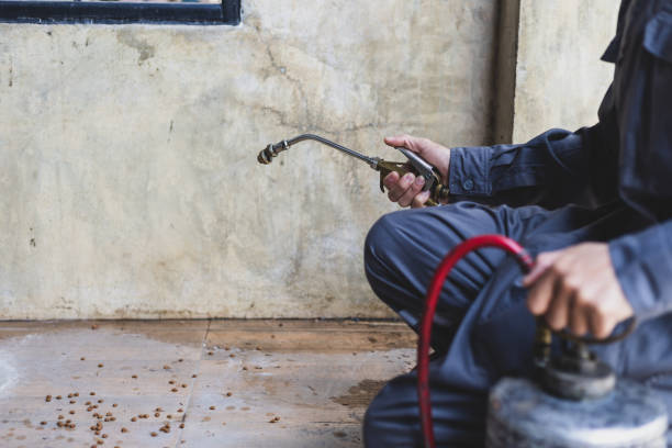 Best Best Pest Control Companies  in Pomona Park, FL