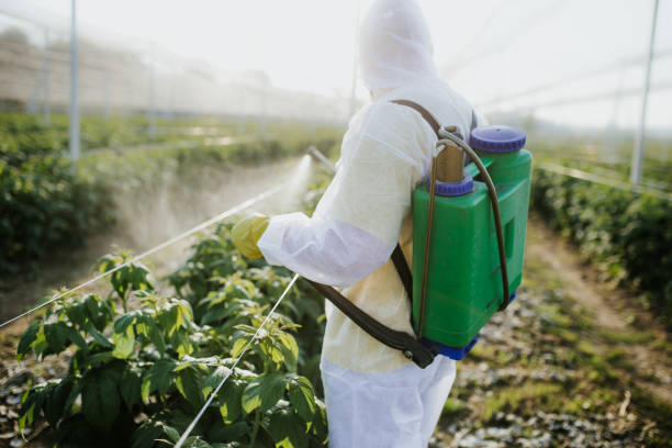 Best Pest Inspection Near Me  in Pomona Park, FL